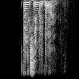 Output Disgust speech