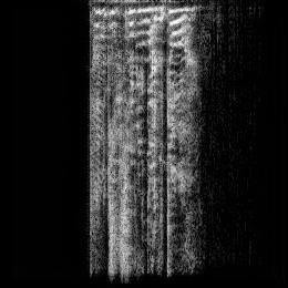 Output Fearful speech