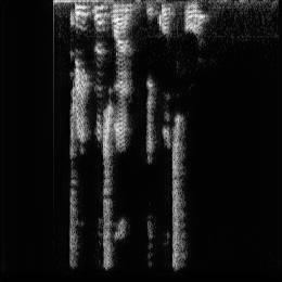 Output Fearful speech