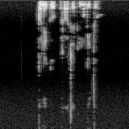 Input Calm speech